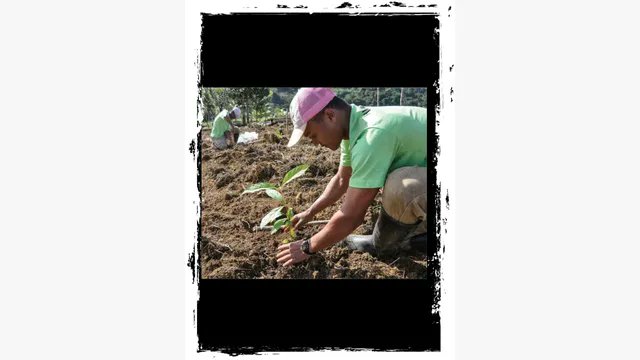 elixir_john's tweet image. This image says it all 🌿
It starts with you. Make a difference.

View the post 👉 app.ecox.network/community/post…
Earn GREEN on @ECOX_ECOToEarn while you act:
app.ecox.network/register?refCo…

#ECOX #GREEN #ECO_TO_EARN