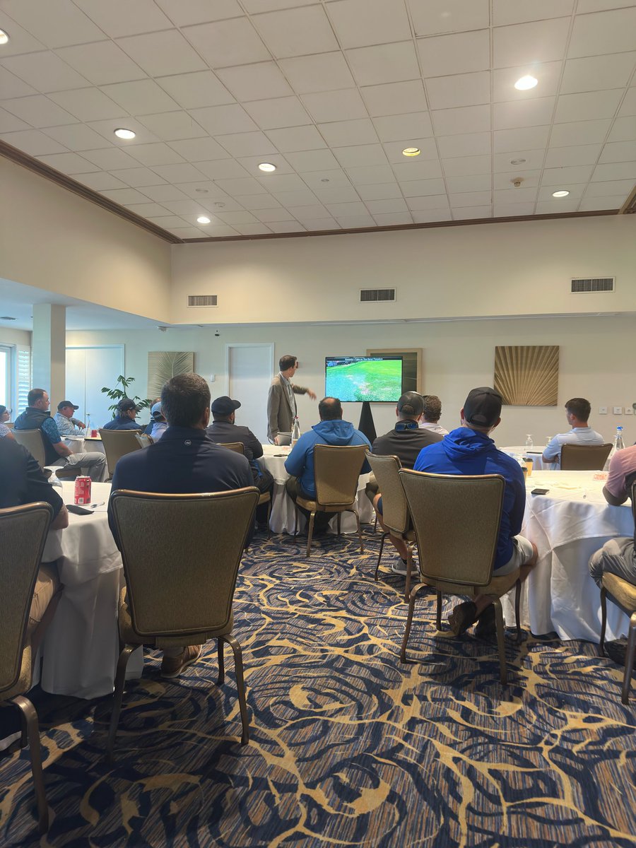 Platinum TE Paspalum tweet media