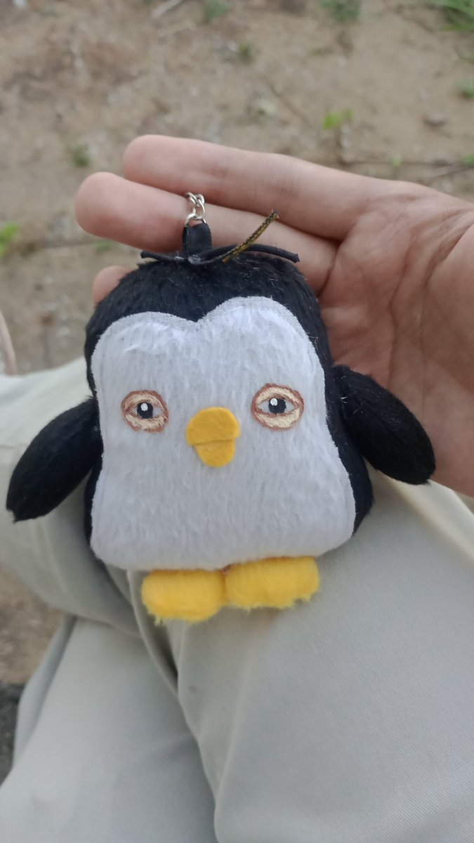 Finalmente em mãos, meu zzirang-e chegou.
<a href="/AnimationFanSt1/">💜 Animation Fan Store 💜</a> obrigado pelo bom atendimento.