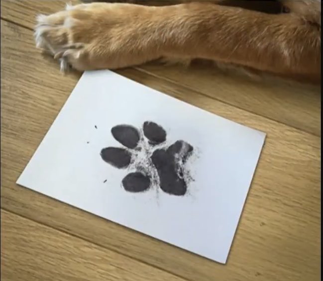 “Molaría que estuviese firmada así, eh?” JAJAJAJAJA