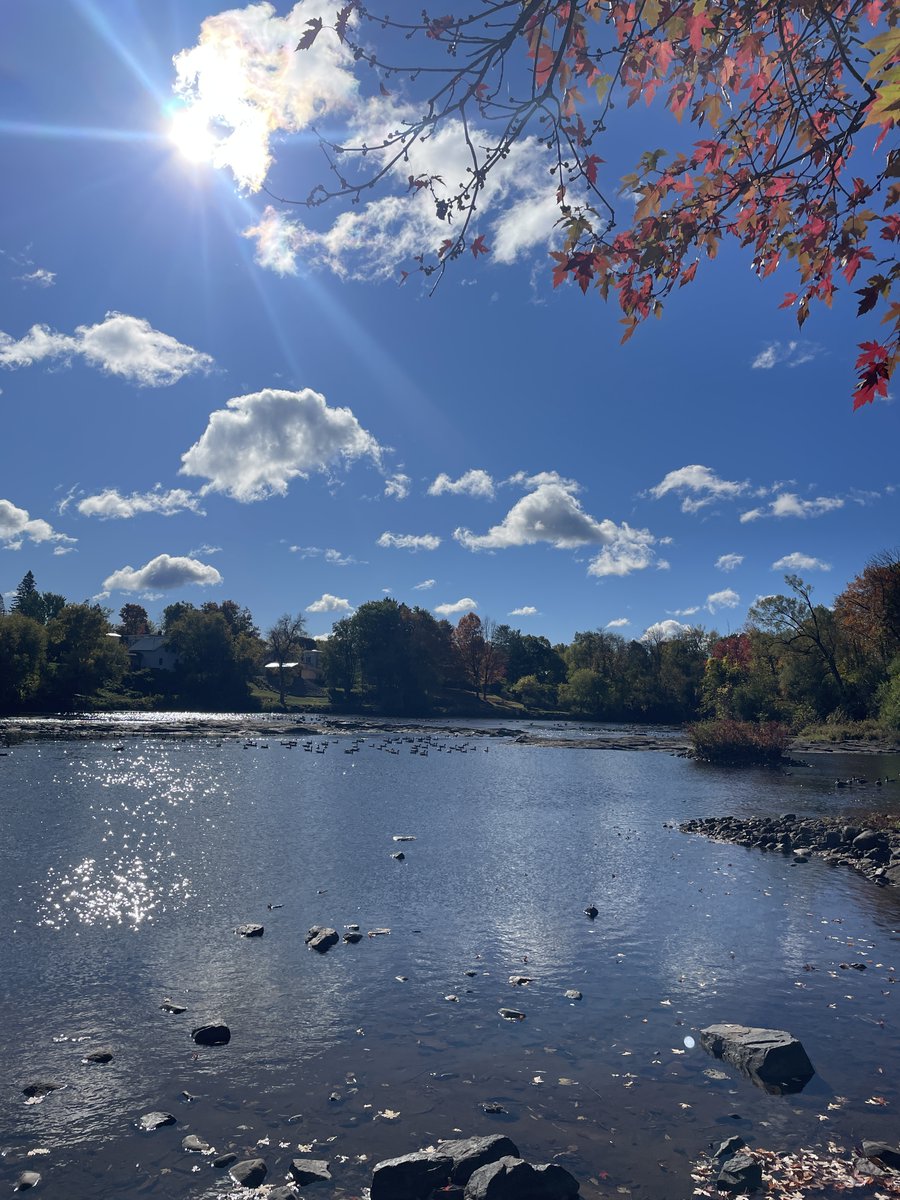 🍂Did you do something relaxing for yourself today? 

🩷Some days it just won't quiet down since I still feel like I have so much to do after moving to New York.  It's not easy to stop what I'm doing to take a break and relax but I force myself.