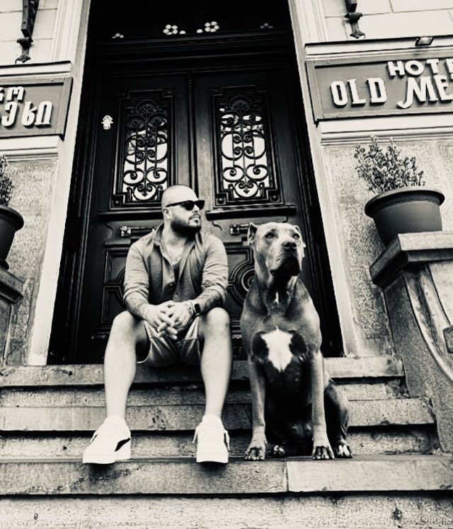 Who let the dogs out ?