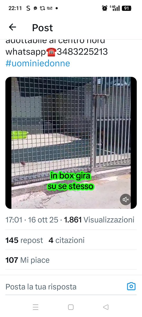 Tweet media one