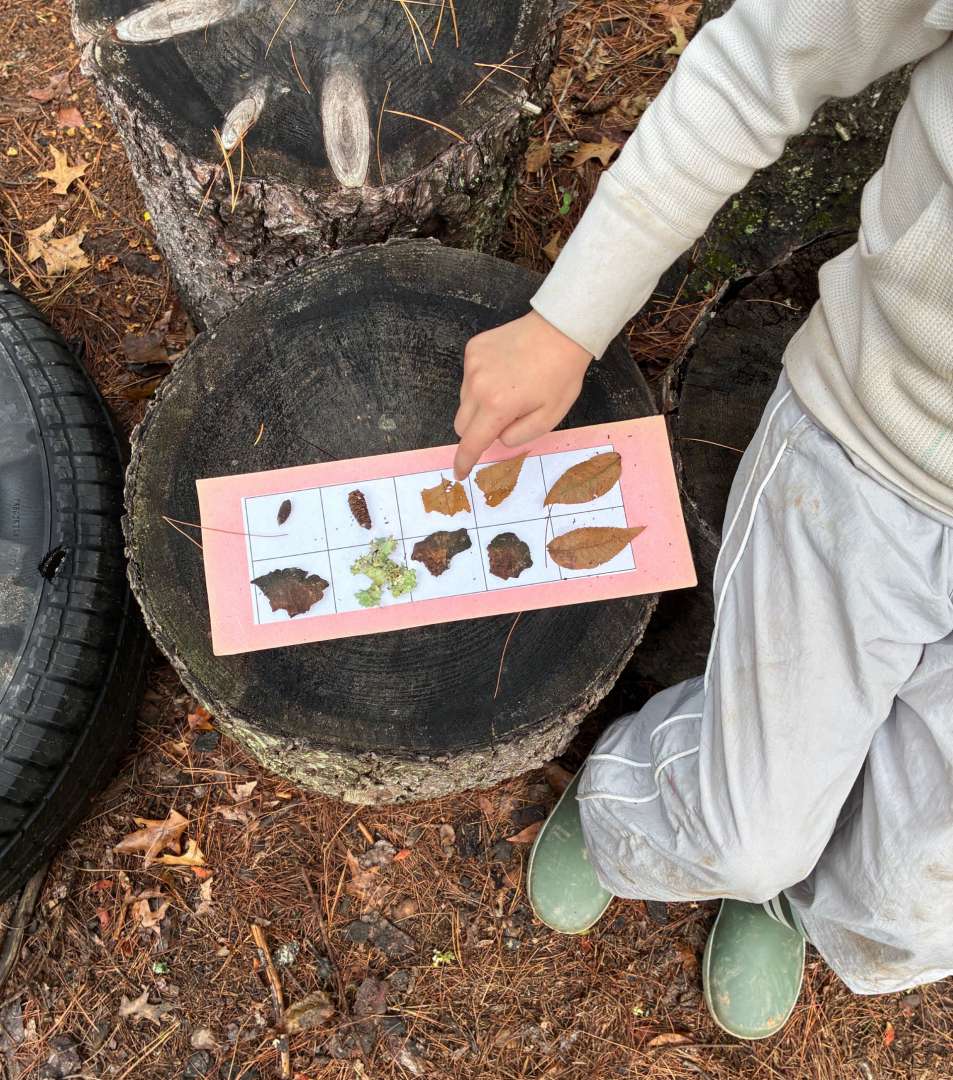SaplingWoodsNS's tweet photo. What have we learned since incorporating @discoverwildlearning's Wild Literacy and Wild Math? Nature Provides!

Between working on pre-writing skills with large scale letter formation, counting black walnut's opposite leaves, filling 10-frames with nature treasures... 🌳 https://t.co/5ZX6CHxuo6