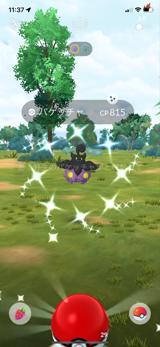 れなぴ🎀🩷 tweet media