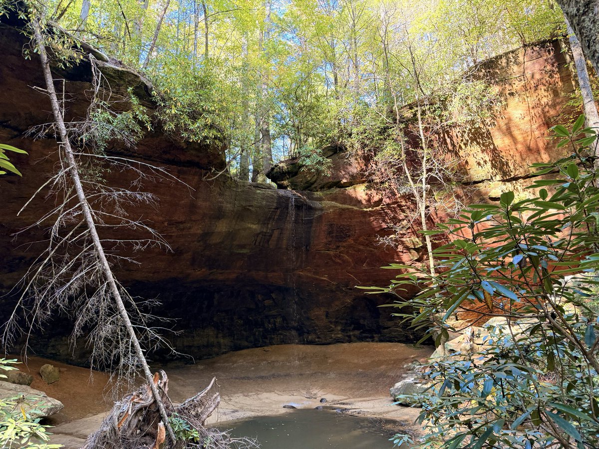 Copperas Falls
#RRG #RedRiverGorge 
#DanialBooneNationalForest