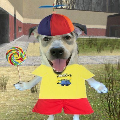 howellaboutphil's tweet image. how i’m gonna feel listening to the dan and phil podcast at my big girl job