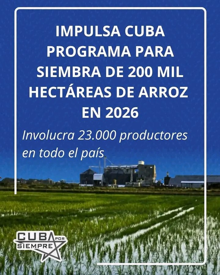 Alimentar a más personas cuidando el ambiente es posible.

 Las prácticas de agricultura regenerativa, que incorporan tecnologías e innovación mientras se cuida la nuturaleza, permiten producir más.
El futuro de la alimentación se cultiva hoy.
#diamundialdelaalimentacion