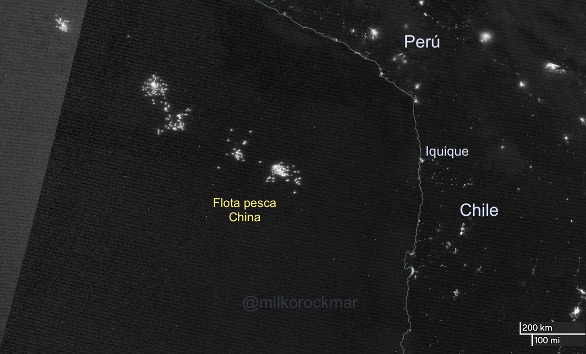milkorockmar's tweet photo. 'Termitas del mar' pescadores chilenos llaman a la flota china que sobrepesca en el límite de la ZEE de Chile.
Imágenes satelitales infrarrojas muestran rutas hacia los puertos de apoyo de Arica e Iquique.
#IUU #Fishing #Chile #China #Squid #Jibia #Calamar #HighSeas #BBNJ https://t.co/tXJLdzQ4ik