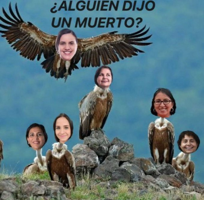ImCalixx21's tweet photo. @LuciaAlvites @Fotosdelucha https://t.co/X98K6tYbNg