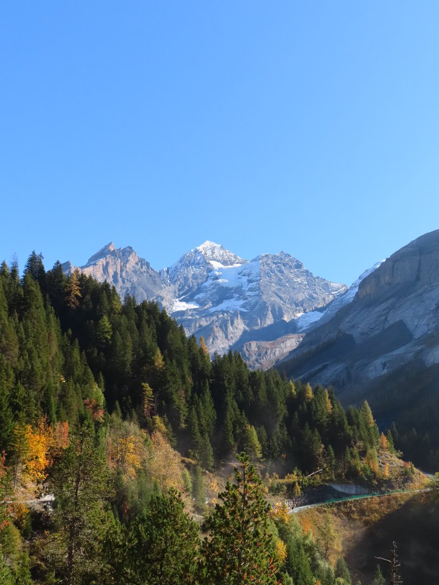 azvrath's tweet image. sans voix