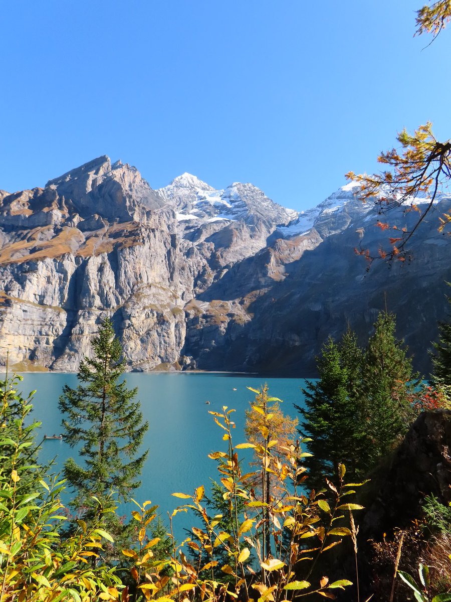 azvrath's tweet image. sans voix