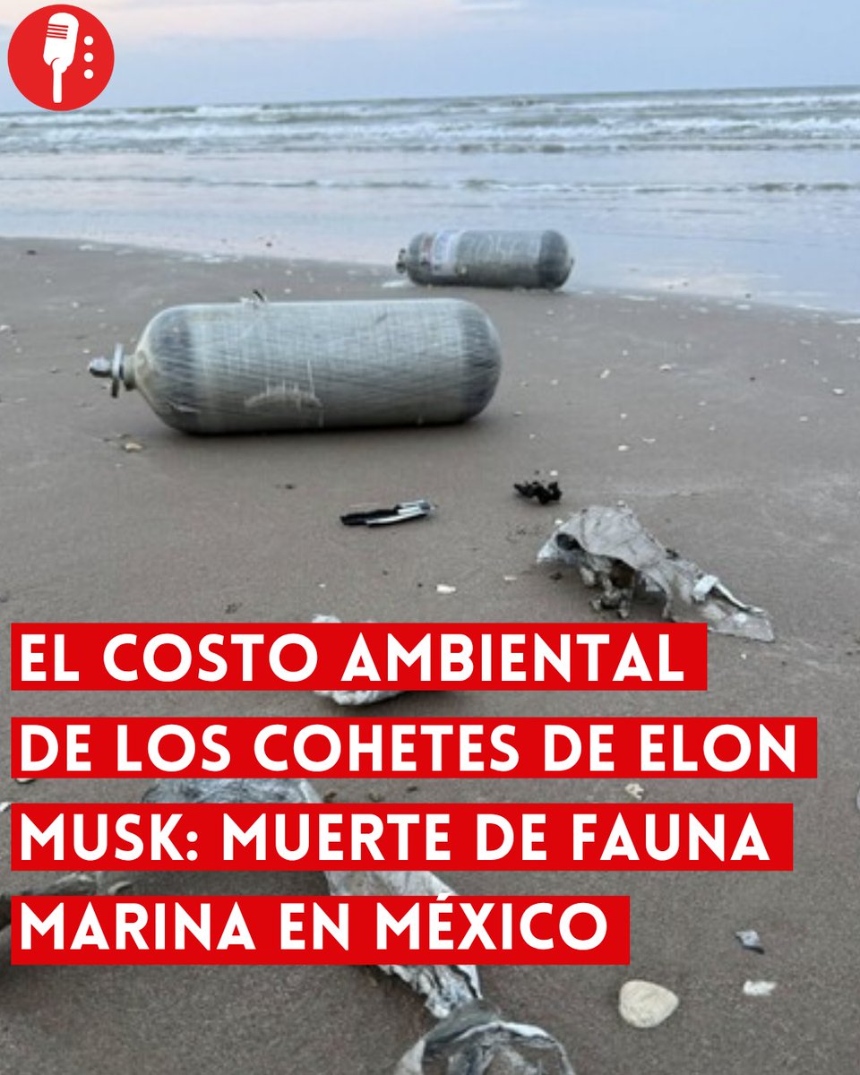 ReporterosMX_'s tweet photo. ⭕ OJO | EL COSTO AMBIENTAL DE LOS COHETES DE ELON MUSK: MUERTE DE FAUNA MARINA EN MÉXICO

Delfines muertos y restos del cohete Starship aparecieron en las playas de Tamaulipas. Ambientalistas advierten que los lanzamientos de SpaceX (@SpaceX) están dejando “basura espacial” en el Golfo de México y dañando ecosistemas protegidos. https://t.co/LP25n7pXys