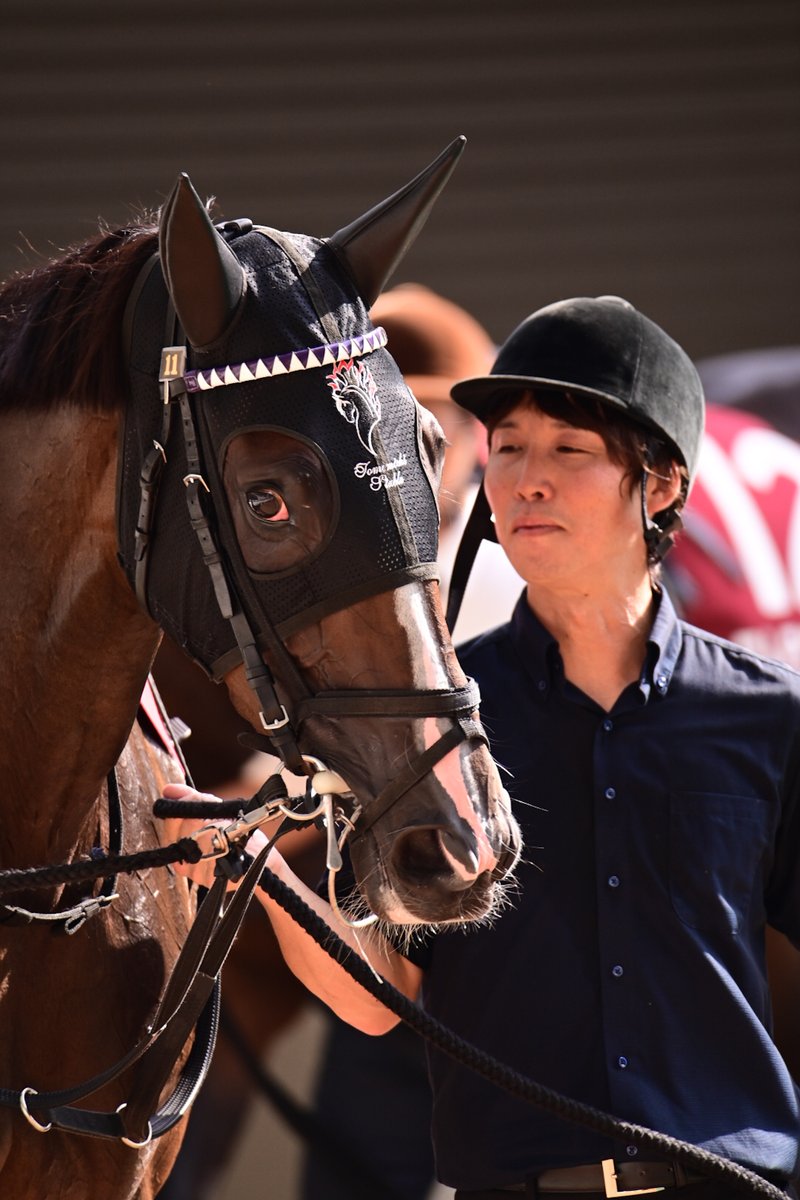 #カムニャック
#ブラックタイド
#秋華賞
#京都競馬場