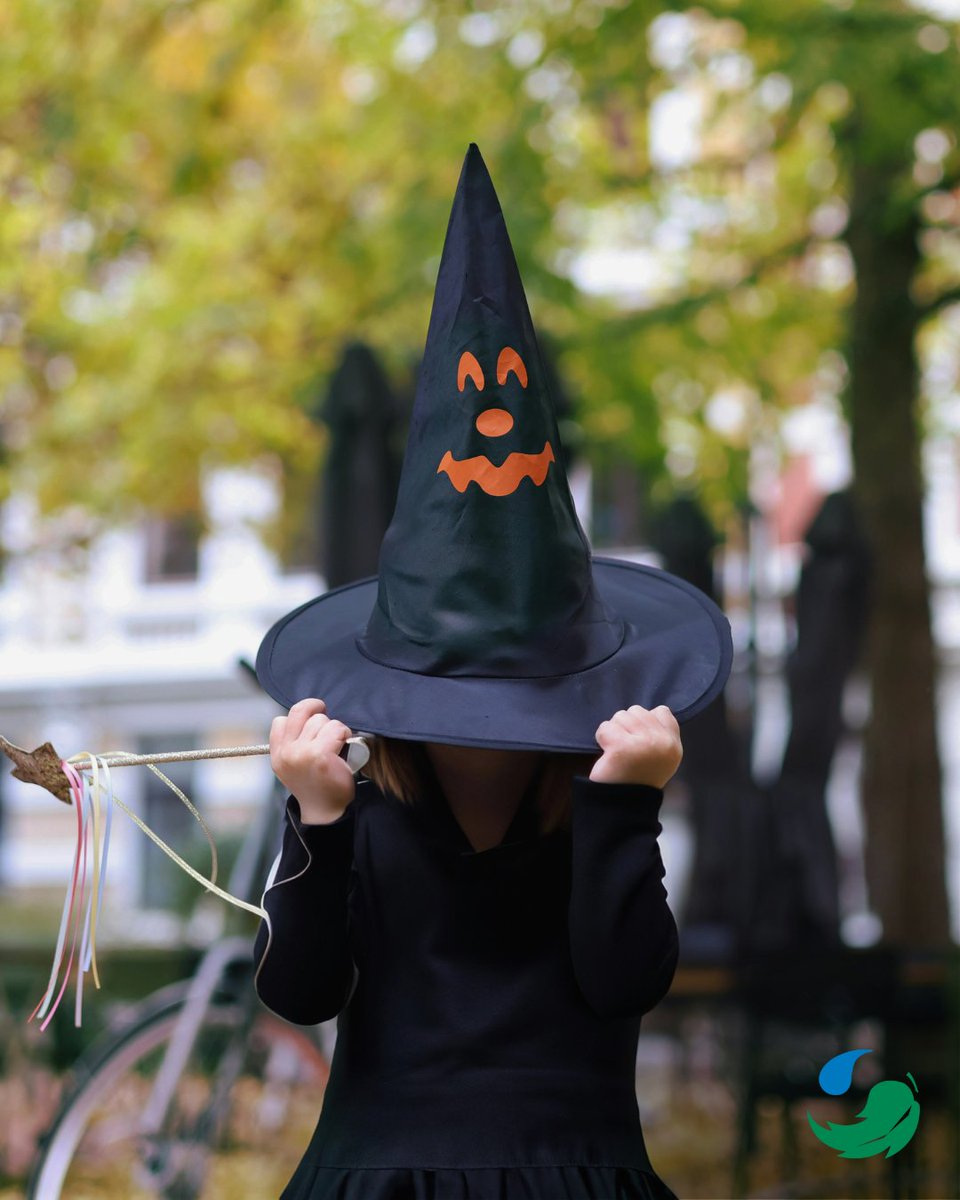 GECleaners's tweet image. Halloween is just around the corner! 

From finding thrifted pieces you’ll wear again to decorating with sustainable, energy-efficient items, there are plenty of ways to make your Halloween both fun and earth-friendly. 🎃

Learn more on our blog: greenearthcleaning.com/ghoul-gone-gre…