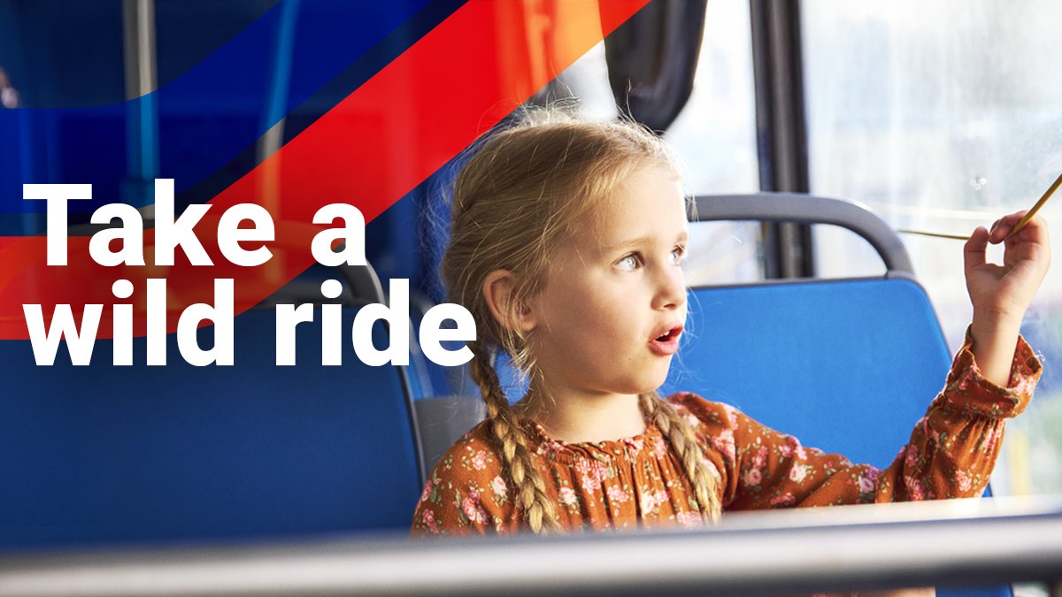 SEPTAPHILLY's tweet image. What's HAPPENING this weekend including Boo at the Zoo 👻🐯and how to get there on #SEPTA: wwww.septa.org/happenings/. #ISEPTAPHILLY #HowWeRoll @phillyzoo