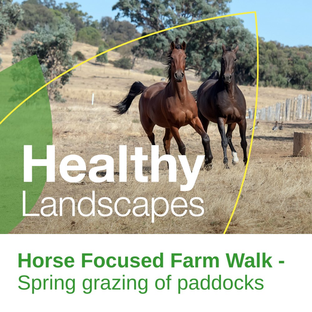 Have horses and are concerned with "hot" grass?

Horse Focused Farm Walk - Spring grazing of paddocks field day is held in Newham, Friday, 7 November 2025 from 05:30 PM - 07:30 PM.

Join us in exploring  safe and sustainable grazing options.

Register now: bit.ly/3KRXI6o