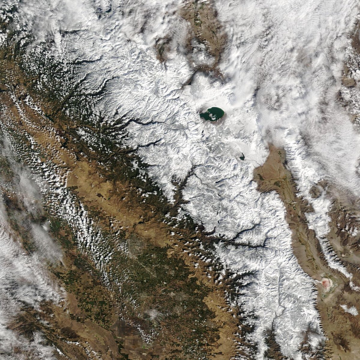 Colin McCarthy tweet media