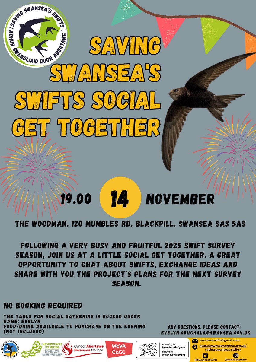 Join us for our annual end of season swifts social on Friday 14th November at 19:00 at The Woodman Pub in Blackpill. It is a great chance to get involved with the project, hear about how this season went and share ideas on how we can better help our local swifts next year!