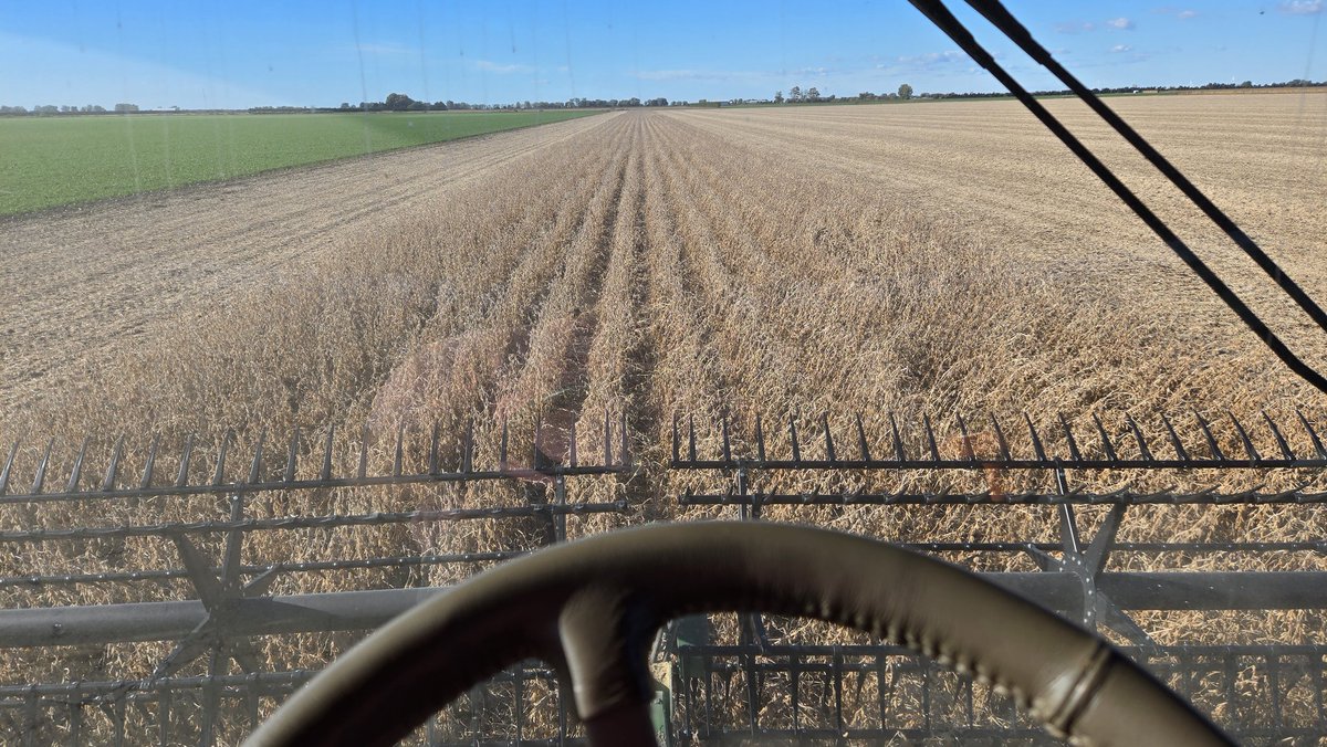 And just like that beans are done