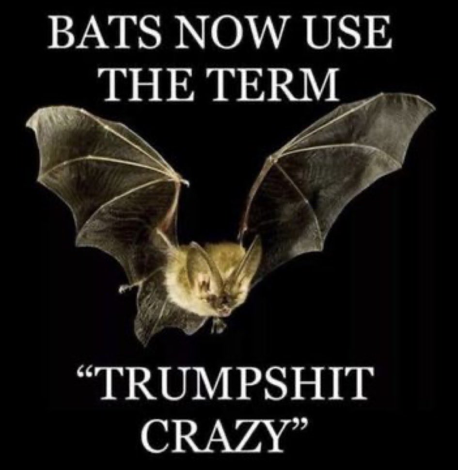 3SidecarsPlz's tweet photo. @atrupar “I don't think any president has ever ended a war, frankly. One war. I did eight of them. Do you think Biden ended a war? ... it's gonna be nine."
~Donald J. Trump
************************
⏬⏬⏬
#TrumpShitCrazy
#ReleaseTheEpsteinFiles
#TrumpsGovernmentShutdown https://t.co/QNJgfAXg8q