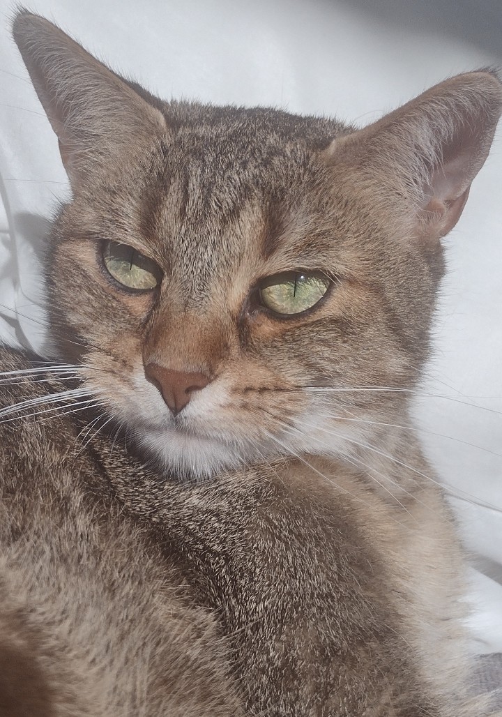 dadofthrud's tweet image. 9 Jahre sind einfach zu wenig.💔
Mach&apos;s gut meine kleine, tapfere Kämpferin!😭