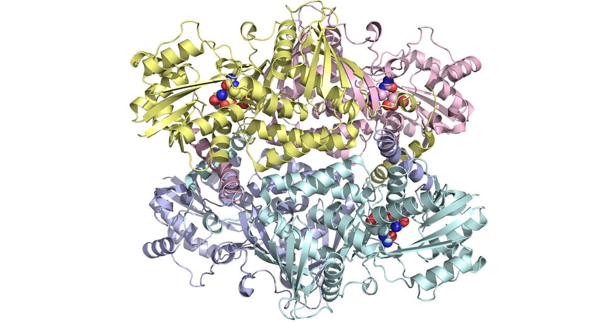 Wen Zhu Lab tweet media