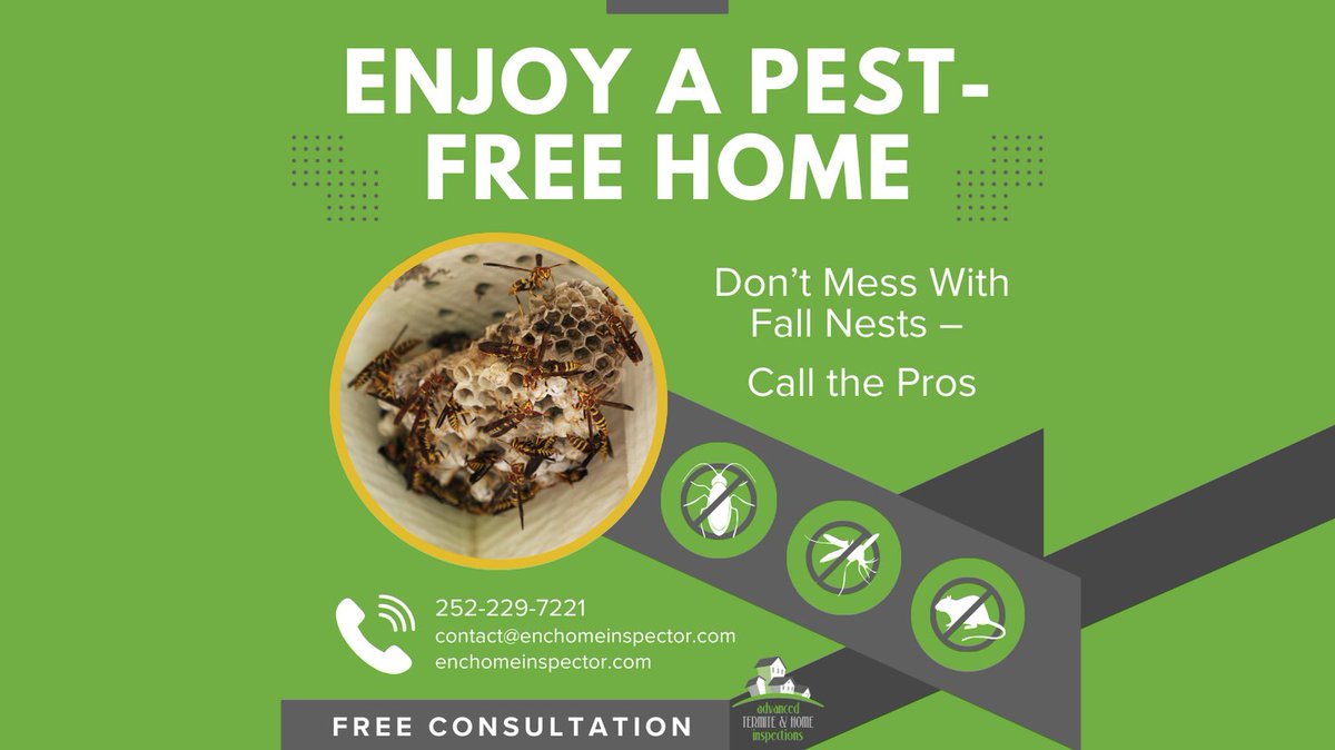 ChrisMa94374918's tweet image. Fall wasp and hornet nests can be large and aggressive. Don’t risk a sting — let us handle the removal safely.
📞 252-229-7221 
📧 contact@enchomeinspector.com
#WaspControl #HornetControl #PestControl #EasternNC
