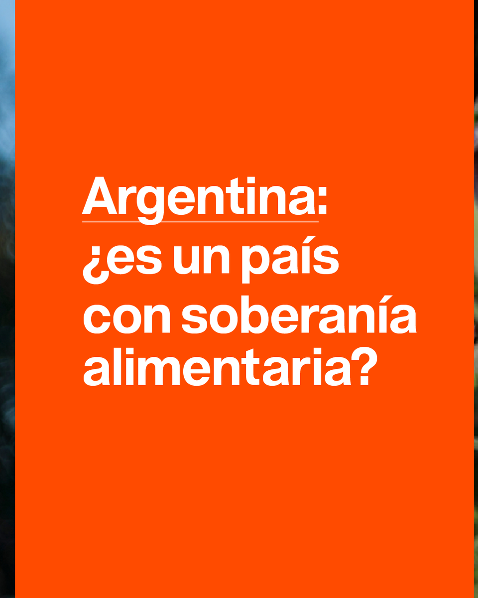 MNCI_ST's tweet photo. Plaza de Mayo participamos del #Alimentazo organizado por la Mesa Agroalimentaria Argentina 🇦🇷 

👨🏾‍🌾La lucha por la #SoberaníaAlimentaria es el camino para terminar con el hambre 🌽

🤷🏽‍♂️Pero nos preguntamos ¿Somos un país con Soberanía Alimentaria? ¿Qué te parece? ❓❓... https://t.co/nAIdSjB5u6