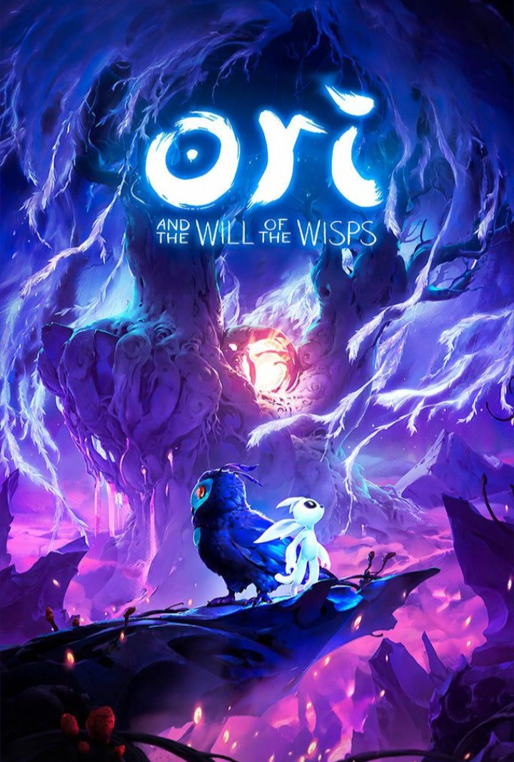 ʜᴀᴍᴢᴀ sᴀʟᴀᴍ tweet media