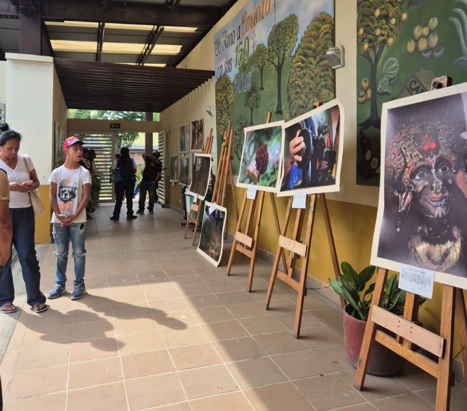 MisionONUCol's tweet image. En #Corinto, #Cauca, participamos en un encuentro sobre alternativas académicas para firmantes de paz, en el marco del Programa de Reincorporación Integral #PRI, para fortalecer capacidades y ampliar oportunidades de desarrollo junto a @ARNColombia y autoridades locales. 🕊️🇨🇴