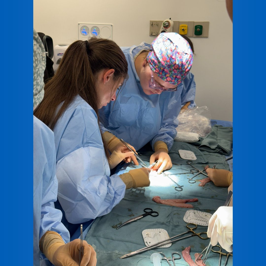 CAMC Surgery Residency and Fellowship Programs tweet media