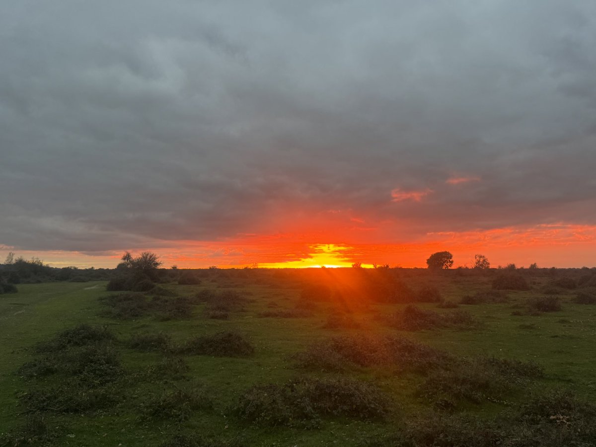 Beautiful sunset over Bagshot Moor at East Boldre this evening. This spot opened as the UK’s second ever flying school in 1910. Imagine how it was here with those magnificent men in their flying machines on an evening like this.