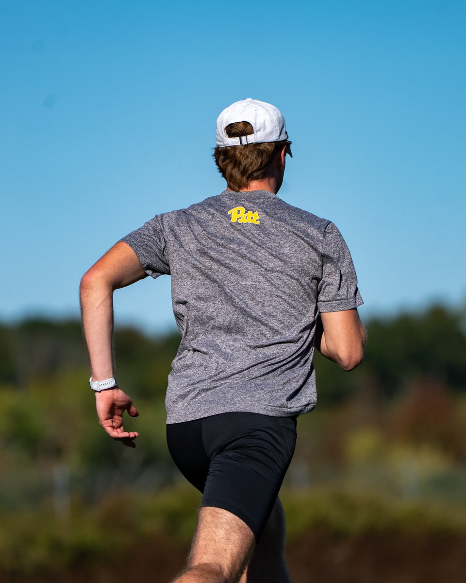 Panthers in Princeton 🐆