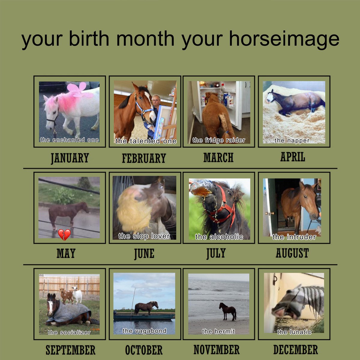 horseimage's tweet photo. https://t.co/pLCGpkayhE