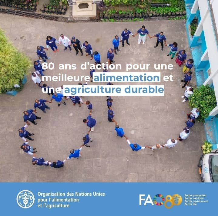 senadufu's tweet photo. #FAO80 https://t.co/17KkmpYw4s