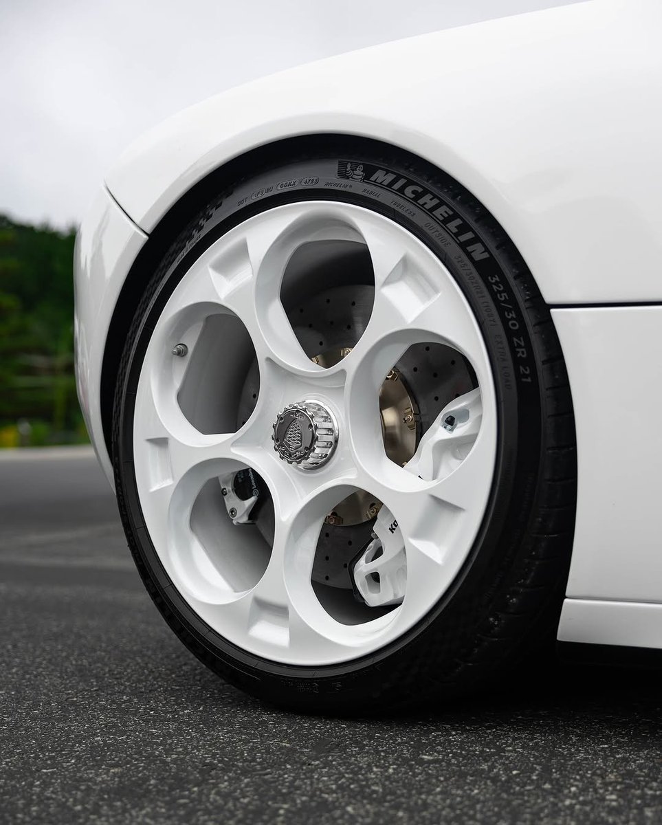 White on white egg 🤍