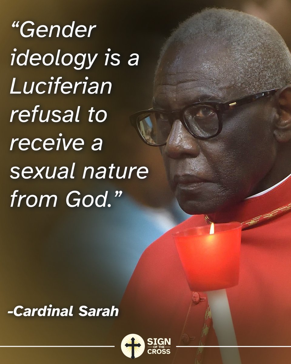 CatholicSOTC's tweet image. Cardinal Sarah has NO FEAR of calling evil out EXACTLY as it is! 🔥