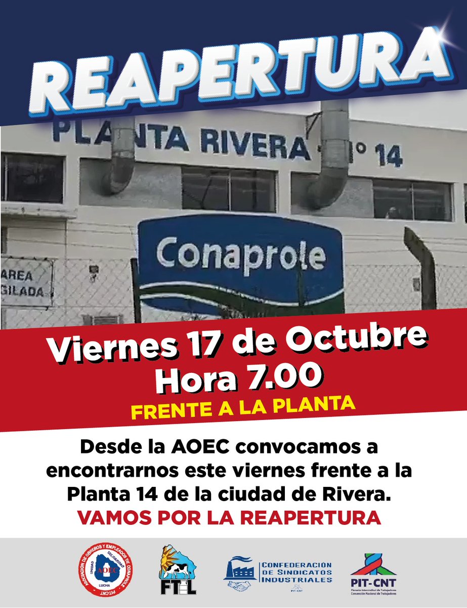 La lucha da frutos.👇🏼