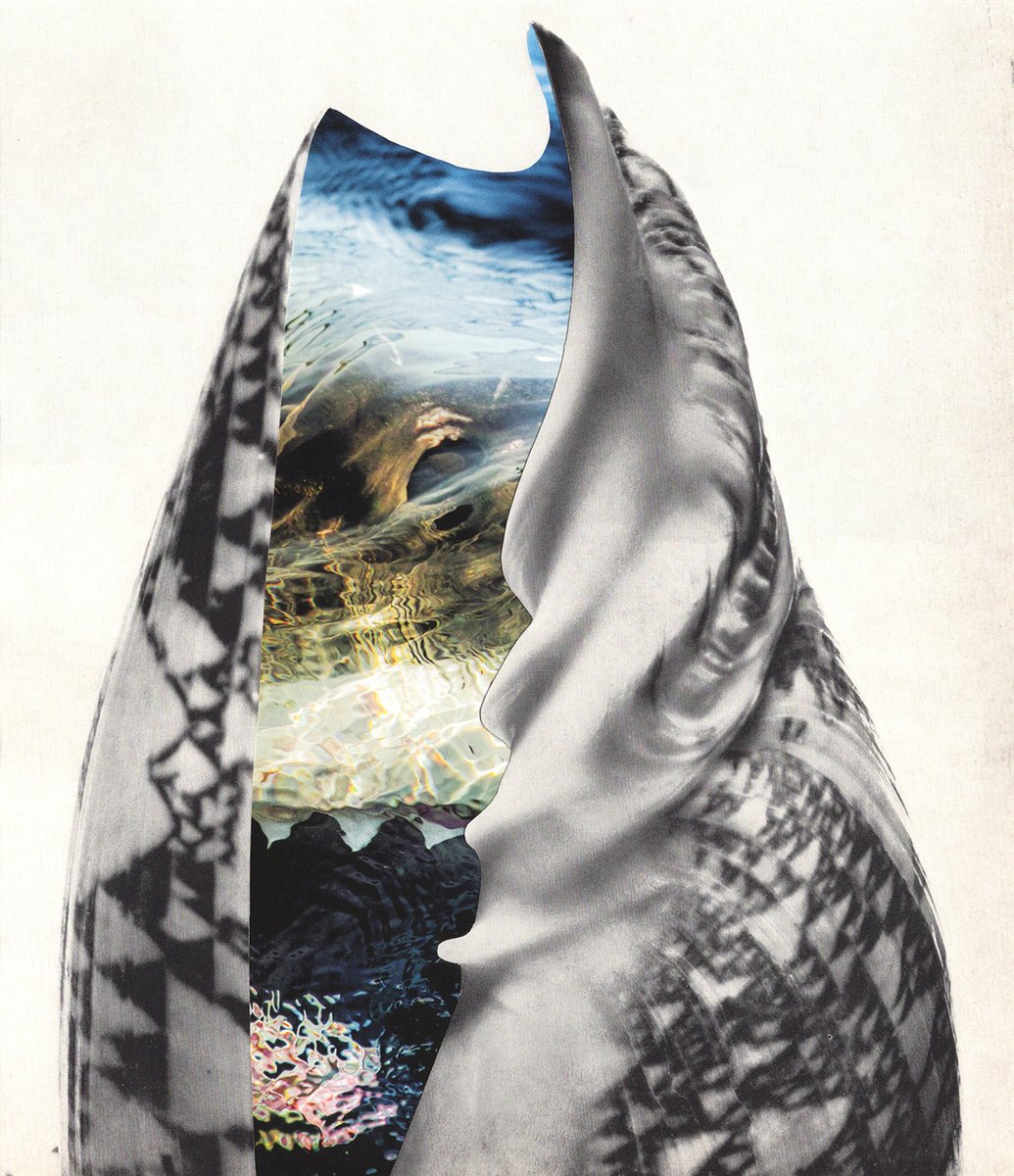 Herbivorepr's tweet photo. Art I made in July 2024 π¦
Titles: Our Visual Voyage, The Sound Of Water, The Death Of American Identity
#analogcollage #sharkart #leopride #collage https://t.co/ZO0rqZed9h