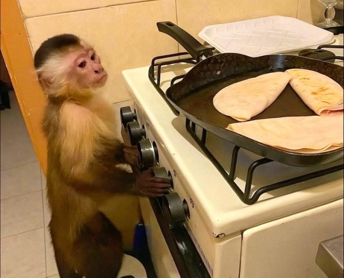 Yo preparándome la única comida que sé hacer.