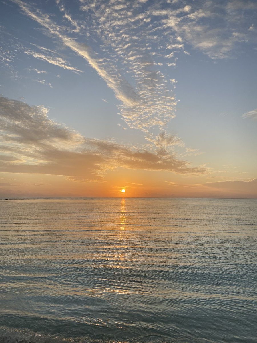 NurseLJohn707's tweet image. Happiness is the highest form of health.
~Dalai Lama