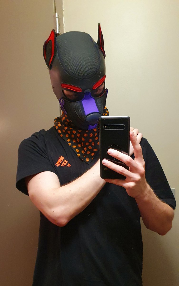 Am at doggy weekend, lurking for prey 😈