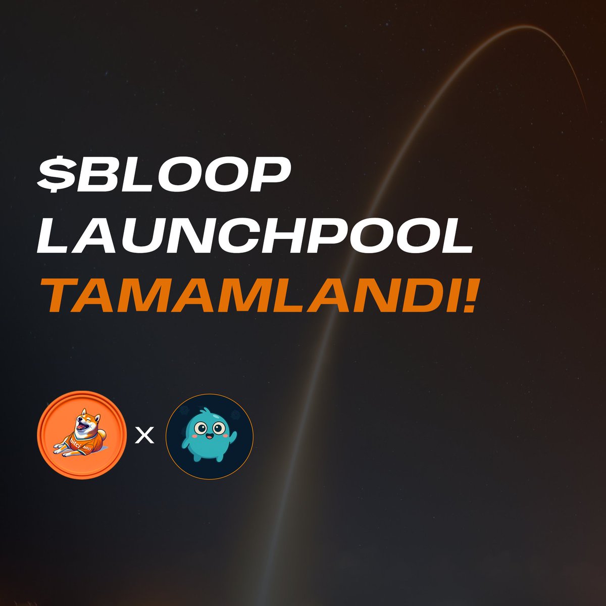 Bitci Bonk #MEME tweet media