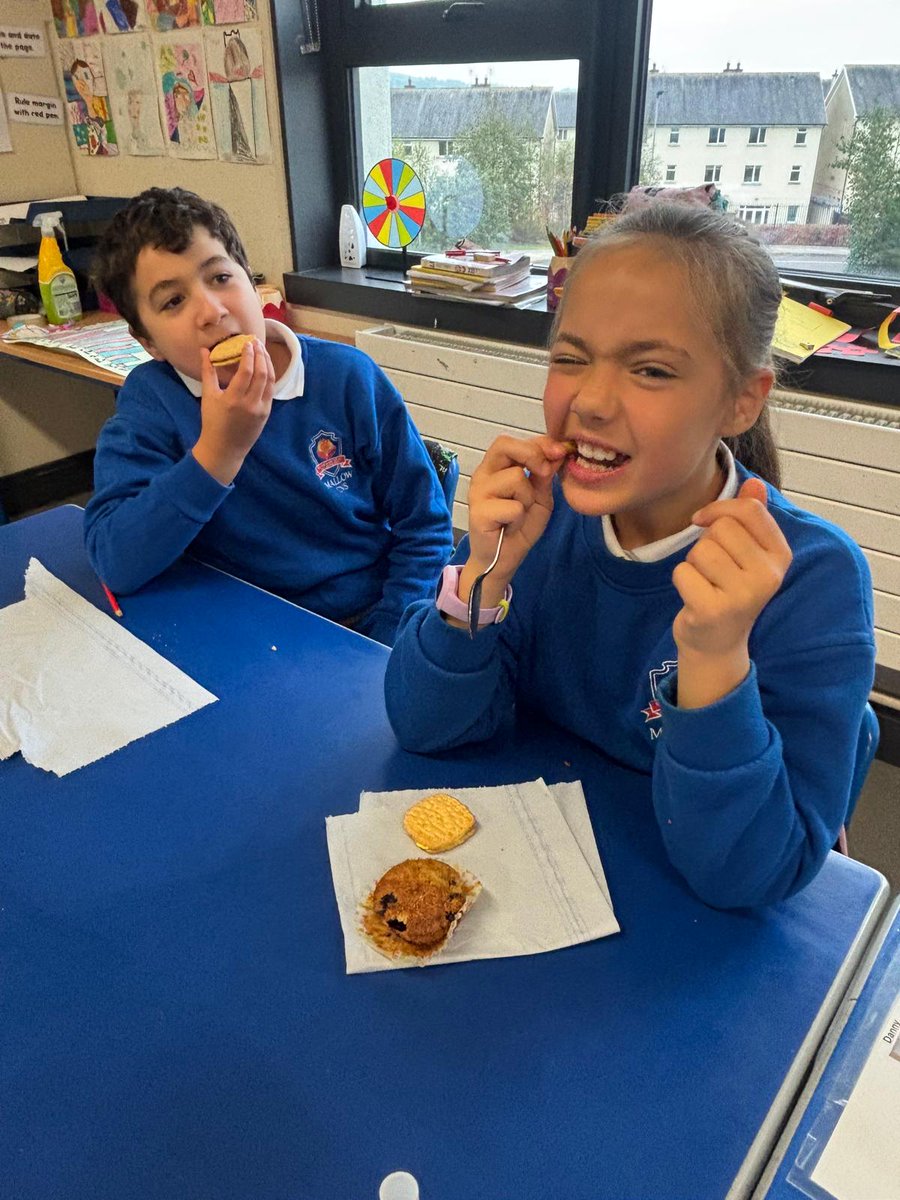 Mallow Community National School tweet media