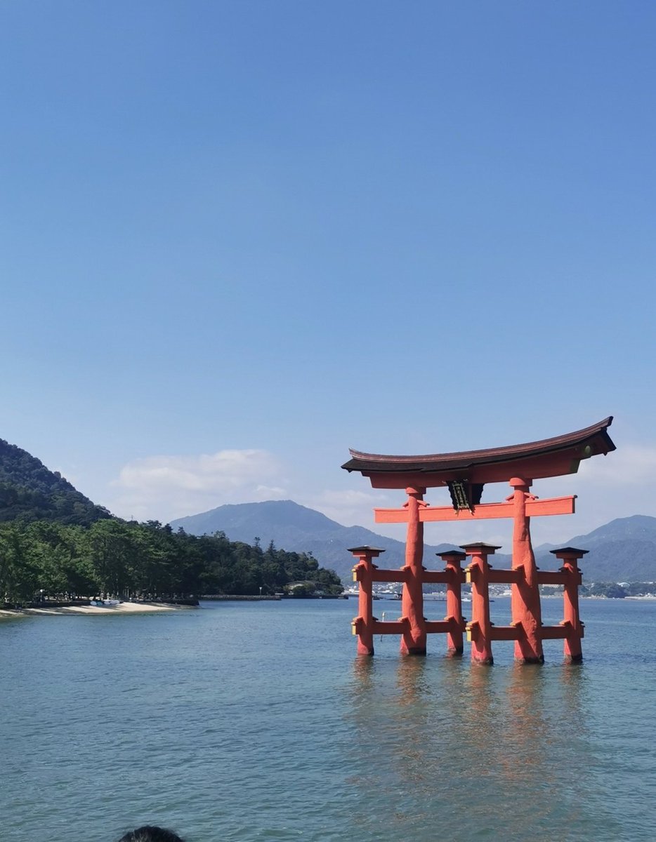 JacobAtkinson_'s tweet image. Back to work today. Japan, you were sensational 🇯🇵