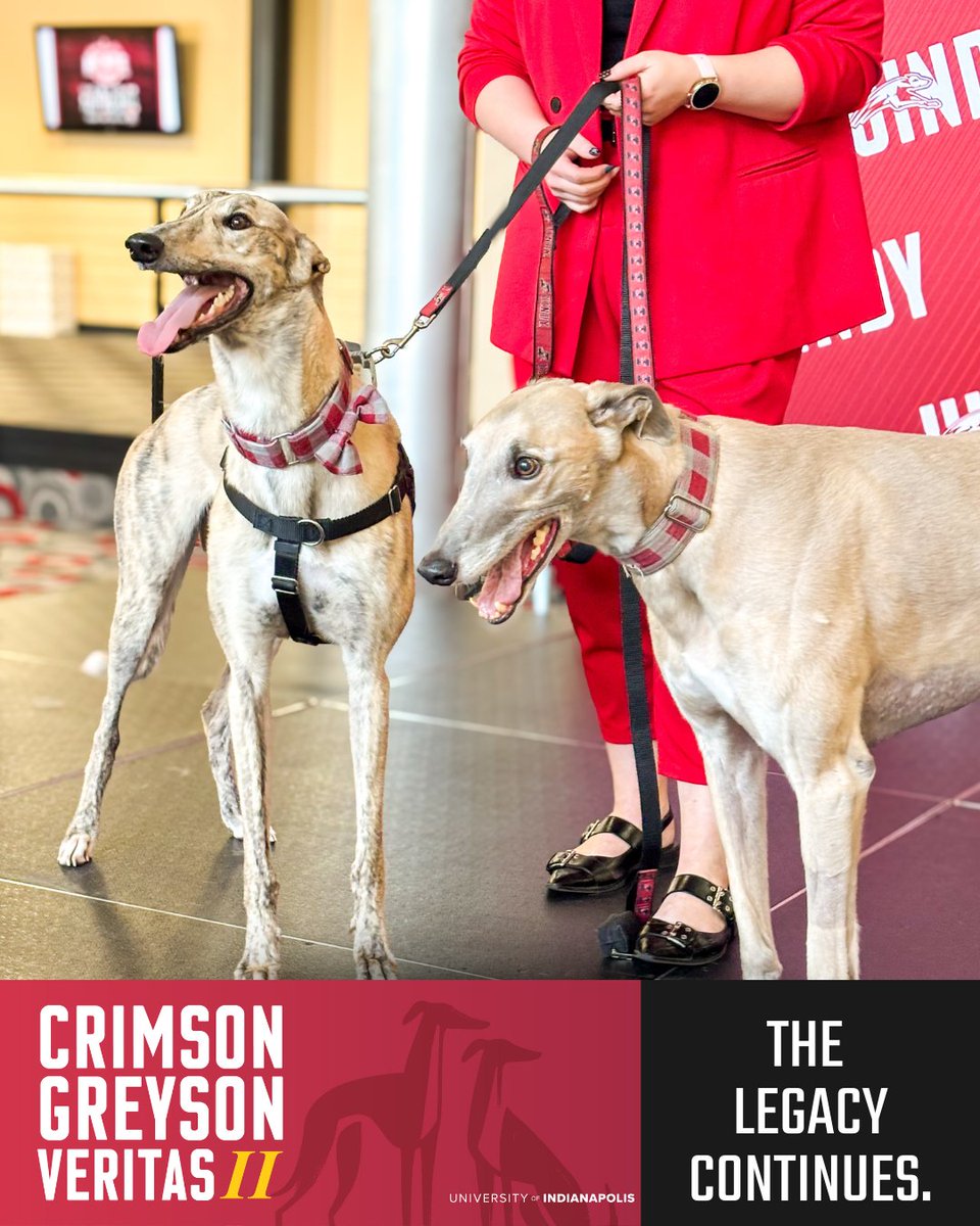 UIndyAlumni tweet media