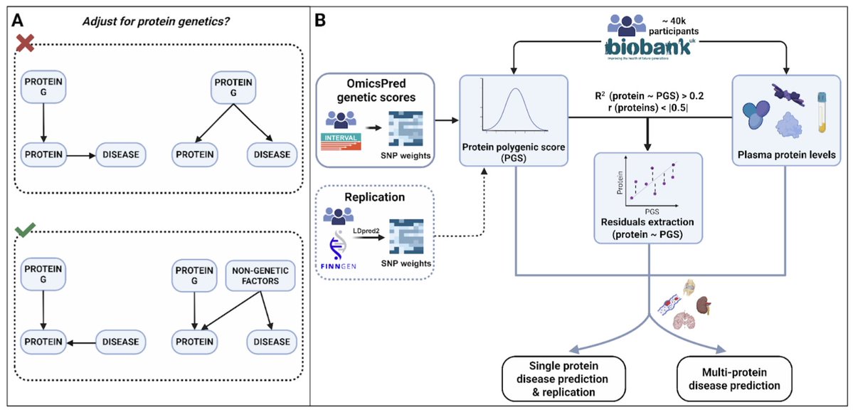 andganna's tweet image. 🎉 New preprint out!
"Removing genetic effects on plasma proteins enhances their utility as disease biomarkers"
We show that adjusting plasma proteins for genetic effects can make them stronger predictors of disease
👉 doi.org/10.1101/2025.1…