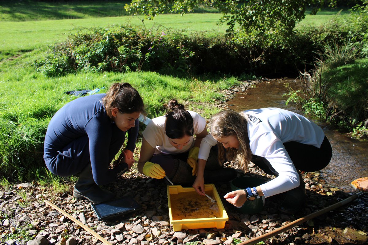 SG_STEM's tweet image. The Sixth Form Biology students enjoyed a two-day residential trip to Nettlecombe Court Field Studies Centre. Our biologists undertook a range of ecological investigations in a variety of inspiring habitats, including rocky shores, streams, grasslands and sand dunes.