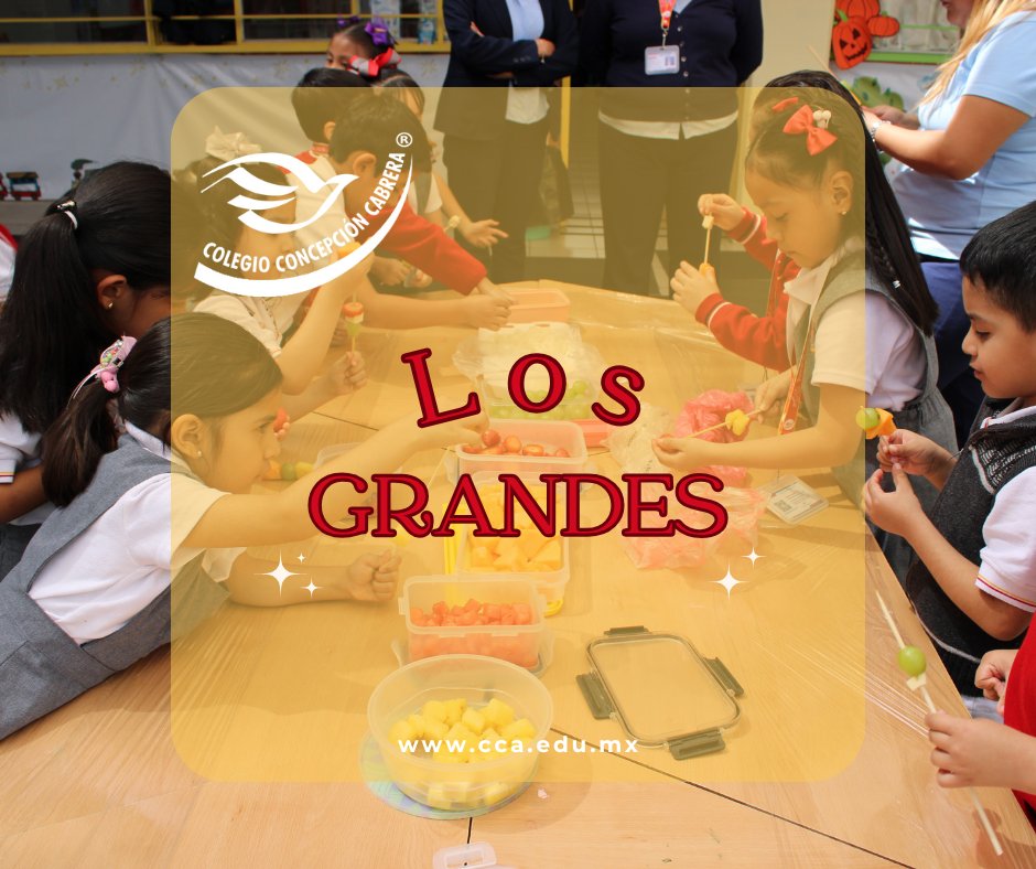Colegio_CCA's tweet image. 🎨✨ Aquí comienzan los grandes sueños ✨🎒

👧🧒 ¡Tu hijo también puede vivir esta hermosa etapa rodeado de cariño y aprendizaje!
📍 Conoce más en 👉 cca.edu.mx

#PreescolarCCA #SoyCCA #FamiliaCCA #EducamosConAmor #ConchitaCabrera #FormaciónIntegral
